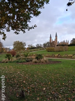 Gesucht wird ein zweiter Hund 