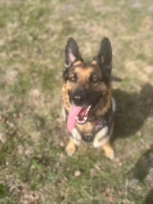 freundliche Pamela verliert ihr zu Hause 