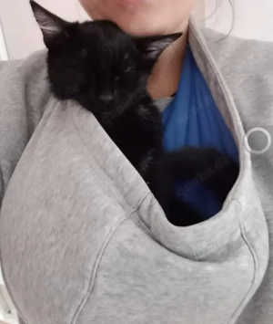 Misty & Duchess  Dreamteam sucht Traumzuhause. Bild 9