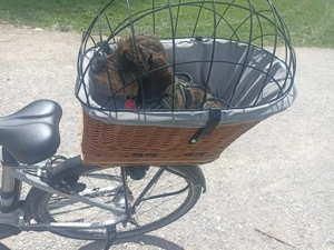 Hundefahrradkorb 
