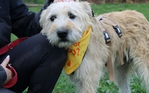 Senior Erwin sucht warmes Plätzchen			