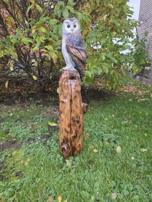 Eule aus Eiche geschnitzt