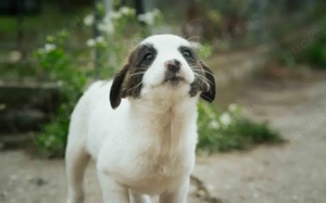Schneeflöckchen Cathleen mit der süßen Sommersprossen-Nase 