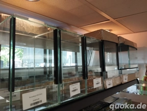 Vollglasterrarien mit Falltür   verschiedene Größen verfügbar!