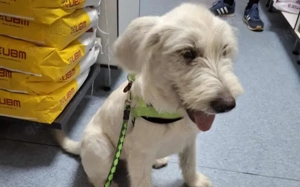 Schneeball Salvina wartet auf dich Bild 2