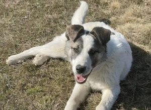 Eroberst du mit Arwen das Leben?