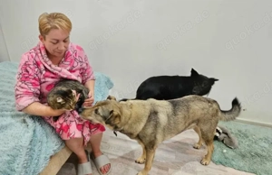 Breeze sucht sein traumhaftes Zuhause   ein sanfter, treuer Begleiter auf der Suche nach Geborgenhei