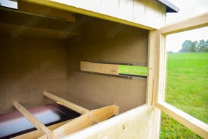 Isolierter Hühnerstall für 7 9 Hühner SKAUT MINI Bild 3