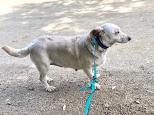 Hopihe-Ich bin eine echte Genießerin   und das im besten Sinne