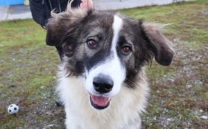 Ilse ist eine wahre Schönheit