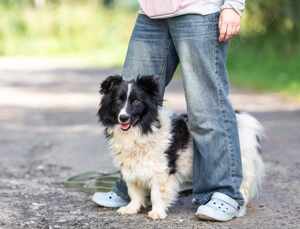 Kleiner Tommy sucht sein großes Zuhause   ein fröhlicher Kerl mit zartem Herz