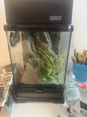 exo Terra 20x20x30 mit zubehör 