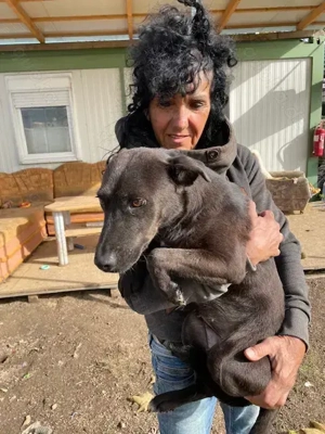 Malin, z.Z. in Ungarn, ist ein sympathisches Mädchen Bild 6