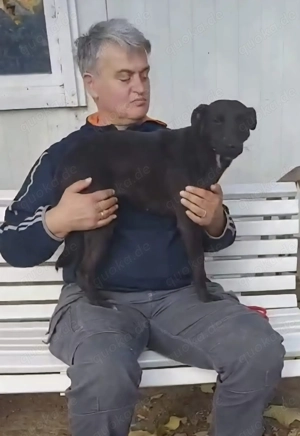 Malin, z.Z. in Ungarn, ist ein sympathisches Mädchen Bild 2