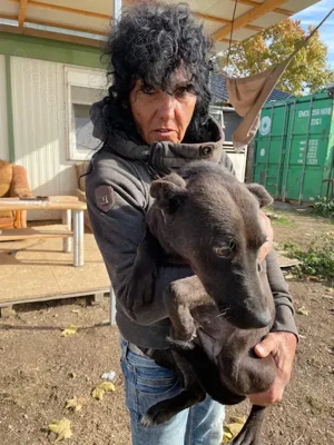 Malin, z.Z. in Ungarn, ist ein sympathisches Mädchen Bild 4