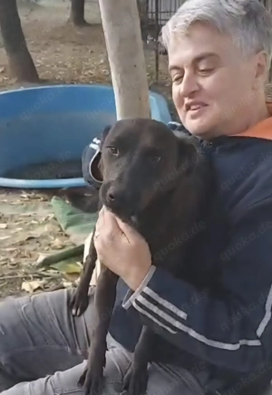 Malin, z.Z. in Ungarn, ist ein sympathisches Mädchen