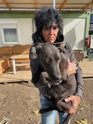 Malin, z.Z. in Ungarn, ist ein sympathisches Mädchen Bild 5