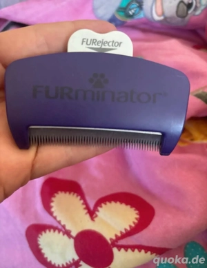 Furminator deshedding kurzhaar Katze
