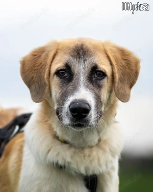 CAMEL sucht seine Familie