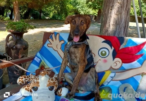 JASON    bereit für sein Happy End Bild 4