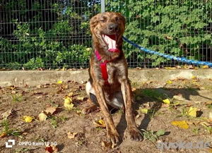 JASON    bereit für sein Happy End Bild 5