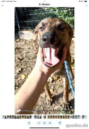 JASON    bereit für sein Happy End Bild 2