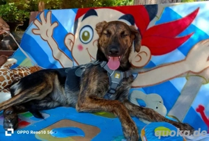 JASON    bereit für sein Happy End Bild 3