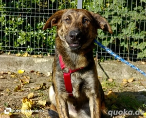 JASON    bereit für sein Happy End Bild 7