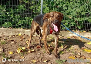 JASON    bereit für sein Happy End Bild 8