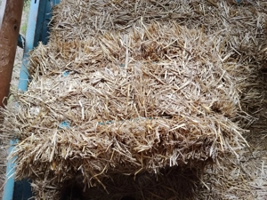 Stroh in kleinen Ballen