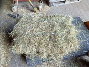 Kleintierheu     Heuballen 