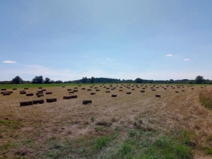 Heu in kleine Ballen 