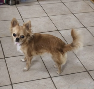 Müssen uns leider von unseren maus trennen