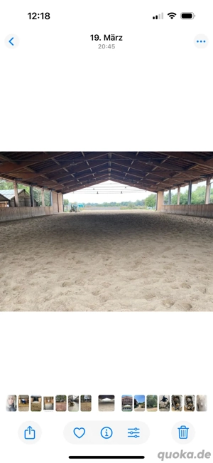 Paddockbox für Selbstmister