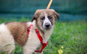 Tabeta wartet auf ihren Start ins Leben