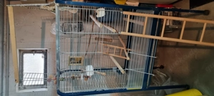Vogelkäfig sehr gut erhalten. 