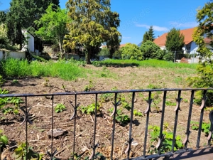 Attraktives Baugrundstück in gewachsener, ruhiger Wohngegend von Römerberg-Mechtersheim 