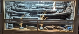 OSB Terrarium 120x60x60 Bild 2