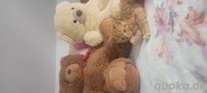 4 monate altes männliched kätzchen  Bild 4