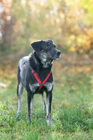 Sonia - ein Sonnenschein 