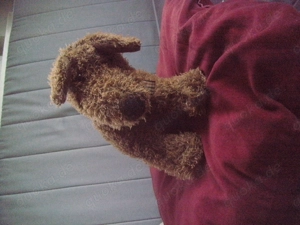 Hund, Stofftier 23cm Hoch