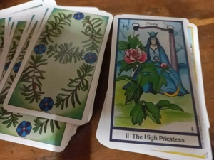 Kartenlegen WhatsApp Telefon Hellsehen Bild 8