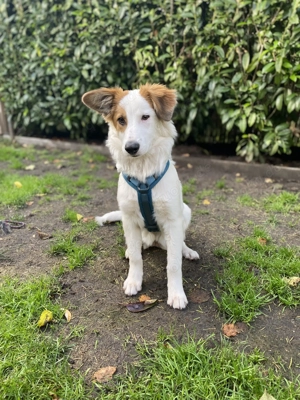 Tonya - jung, klug, regelverliebt - sucht Menschen mit Plan