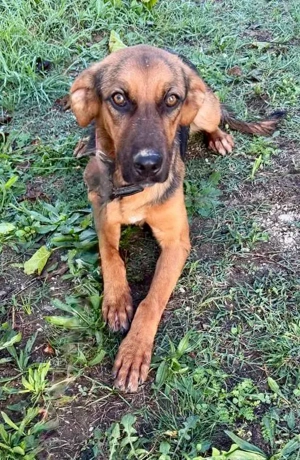 Die zauberhafte Lilo möchte gerne bei einer lieben Familie ankommen 