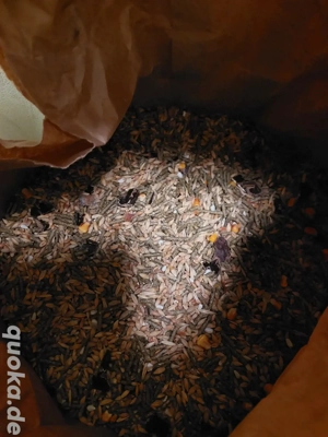 Nagerfutter Kaninchenfutter 23kg gegen 4 Redbull