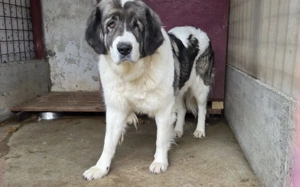 Tela braucht neues Vertrauen in uns Menschen