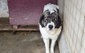 Tela braucht neues Vertrauen in uns Menschen