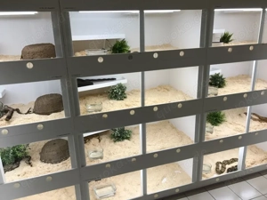 Kunststoffterrarien nach Maß   direkt vom Hersteller