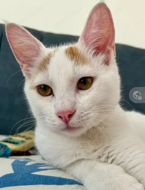 Halloooo,  wir suchen Dich! Ja, Dich  ..