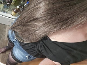 DWT sucht aktiven Hengst  Bild 4